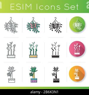 Symbole für Innenanlagen. Hausanlagen. Domestizierte Zierpflanzen. Yucca, glücklicher Bambus. Pothos. Lineare, schwarze und RGB-Farbstile. Linear schwarz Stock Vektor