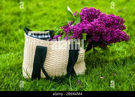 Sommer oder Frühling Bild der Einkaufstasche mit großen Bündel leuchtend lila lila Blumen Stockfoto