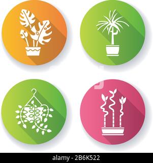Domestizierte Pflanzen flaches Design lange Schatten Glyphe Ikonen gesetzt. Hausanlagen. Zierpflanzen. Natürliches Heim- und Bürodekor. Pothos, Dracaena. Monstera Stock Vektor