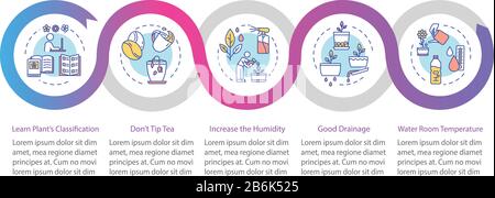Innenanlagen betreffen Infografievorlagen für Vektoren. Zimmerpflanzen pflegen Präsentationsdesignelemente. Datenvisualisierung in fünf Schritten. Prozesszeitplan Stock Vektor