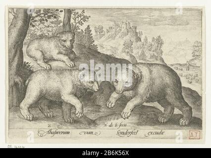 Drei trägt Animalivm qvadrvpedvm (Serientitel) Tiere in der Natur (Serientitel) Drei BerenAnimalivm qvadrvpedvm (Serientitel) Tiere in der Natur (Serientitel) Immobilientyp: Print Seriennummer: 2 / 12Objectnummer: RP-P-Cat-16.164Om recusentie: 36-3 Marken Hollstein (Stempel) Hinweis: 31-1 auf Hollstein (Stempel) Lugt 184 Sammlermarke, darunter, gestempelt: Lugt 2228 Hersteller: Druckmaschine: Nicolaes de Bruyn (denkmalgeschütztes Gebäude) in seinem Entwurf: Nicolaes de Bruyn Verlag: Assuerus von Londerseel (auf Objekt abgebildet) Herstellung: PRI Stockfoto