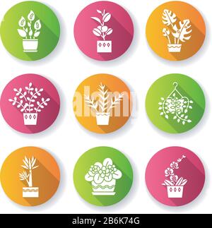 Domestizierte Pflanzen flaches Design lange Schatten Glyphe Ikonen gesetzt. Hausanlagen. Dekorative Zimmerpflanzen. Afrikanisches Violett, Fikus, Monstera. Friede Lilie Stock Vektor