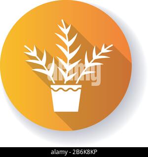 Glyph-Ikone mit langem Schatten in Palmenorange. Chamaedorea elegans. Neanthe bella Palme. Majestät Palme. Tropische Anlage in Innenräumen. Natürliches Zuhause Stock Vektor
