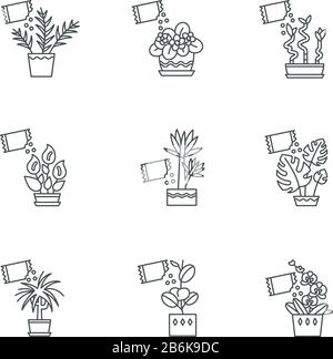 Houseplant befruchtet Pixel perfekte lineare Symbole gesetzt. Die Fütterung domestizierter Pflanzen. Wachstumszusätze. Anpassbare Kontursymbole mit dünnen Linien Stock Vektor
