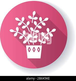 ZZ Plant Rosa flaches Design mit langer Schatten-Glyphe. Zamioculcas. Sansibar Gem. Tropische Pflanze im Inneren mit kleinen Blättern. Dekorative Zimmerei. Natürlich Stock Vektor