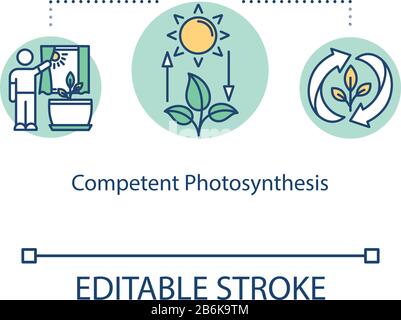 Symbol für kompetentes Photosynthese-Konzept. Lichteinwirkung. Anlagenbeleuchtung erforderlich. Hauspflanzenpflege. Ausreichende Sonneneinstrahlung, dünne Linien. Vektor Stock Vektor