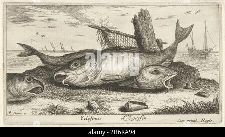 Drei Schellfisch am Strand Edefinus L'Egrefin (Titelobjekt) Fisch und andere Meerestiere - Salzwasser dritte Serie (Serientitel) Poissons de mer (Serientitel) Drei Schellfisch auf dem Stranddefinus L'Egrefin. (Titelobjekt) Fisch und andere Meerestiere - Salzwasser dritte Serie (Serientitel) Poissons de mer (Serientitel) Immobilientyp: Print Seriennummer: 7 / 12Objectnummer: RP-P-1888-A-12532Catalogusreferentie: Robert-Dumesnil 445-1 (2) Der Illustrierte Bartsch 31-1 (2) Markierungen / Marken: 222 Sammlermarken: 223-28 Druckerhersteller Albert Flamen (denkmalgeschütztes Gebäude) Jac Stockfoto