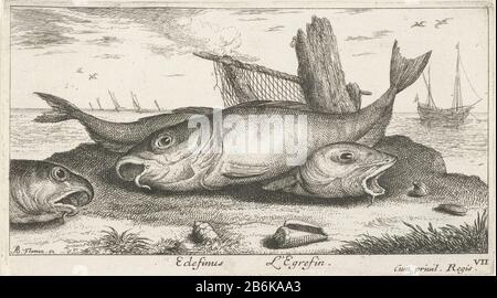 Drei Schellfisch am Strand Edefinus L'Egrefin (Titelobjekt) Fisch und andere Meerestiere - Salzwasser dritte Serie (Serientitel) Poissons de mer (Serientitel) Drei Schellfisch auf dem Stranddefinus L'Egrefin. (Titelobjekt) Fisch und andere Meerestiere - Salzwasser dritte Serie (Serientitel) Poissons de mer (Serientitel) Immobilientyp: Print Seriennummer: 7 / 12Objectnummer: RP-P-1888-A-12544Catalogusreferentie: Robert-Dumesnil 445-2 (2) Der Illustrierte Bartsch 31-2 (2) Marken: 22lugt Sammlermarken: 222. Druckerhersteller Albert Flamen (denkmalgeschütztes Gebäude) Jac Stockfoto