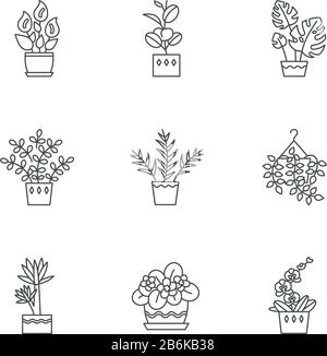 Domestizierte Pflanzen Pixel perfekte lineare Symbole gesetzt. Hausanlagen. Violett, Fikus, Monstera. Lily, pothos. Anpassbare Kontursymbole mit dünnen Linien Stock Vektor