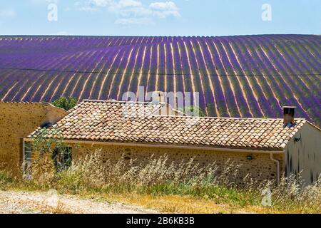 PLATEAU VALENSOLE, FRANKREICH - 09. JULI 2019: Schönes Dorfhaus unter den Lavendelfeldern. Juli 2019 In Frankreich. Hochebene Valensole Stockfoto