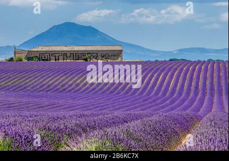 HOCHEBENE VALENSOLE, FRANKREICH - 09. JULI 2019: Großes schönes Lavendelfeld mit einer Farm im Hintergrund der Berge und schönem Himmel mit Wolken. Stockfoto