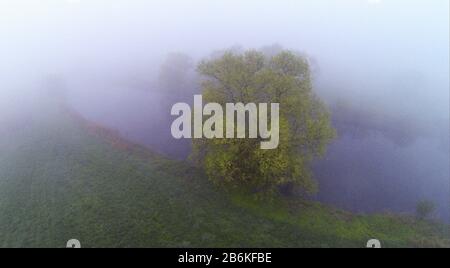 , Morgennebel über Wiesen und Felder an der Schleife der Lippe bei Olfen, Luftbild, Deutschland, Nordrhein-Westfalen, Münsterland, Olfen Stockfoto