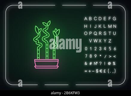 Glückliche Bambusschäfte in Topfneon-Leuchtreklame. Dracaena sanderyana. Innenanlage. Feng Shui. Äußere leuchtende Wirkung. Zeichen mit Alphabet, Zahlen und Symbolen Stock Vektor