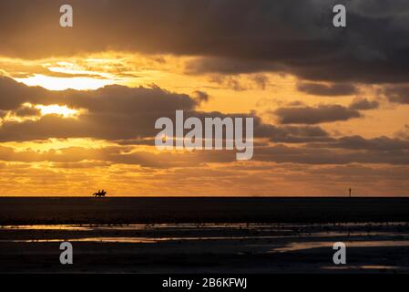 Fahrer am Strand vor Sonnenuntergang, St. Peter-Ording, Nordsee, Schleswig-Holstein, Deutschland, Europa Stockfoto