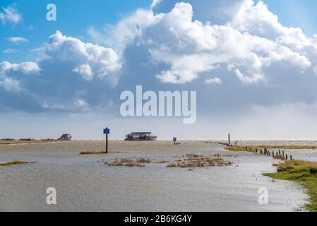 Strand- und Stelzenhäuser bei Flut, Sankt Peter-Ording, Schleswig-Holstein, Deutschland, Europa Stockfoto