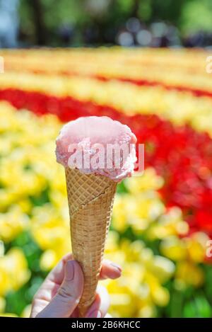 Rosa Eis auf Frühling oder Sommer Blumen Landschaft Hintergrund Stockfoto