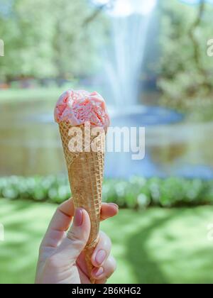 Rosa Eis auf Frühling oder Sommer Blumen Landschaft Hintergrund Stockfoto