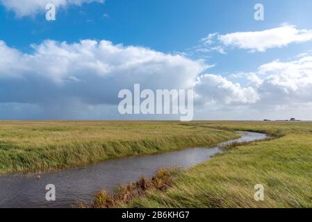 Landschaft mit Salzwiesen, Sankt Peter-Ording, Nordsee, Schleswig-Holstein, Deutschland, Europa Stockfoto