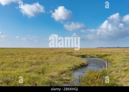 Landschaft mit Salzwiesen, Sankt Peter-Ording, Nordsee, Schleswig-Holstein, Deutschland, Europa Stockfoto