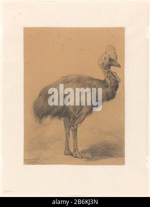 A Cassowary A Kasuaris Objekttyp: Zeichnung Objektnummer: RP-T 1907-34 Hersteller: Künstler Frederik Willem Zürcher Von: 25-1894 Physische Merkmale: Bleistift auf hellbraunem Papiermaterial: Bleistiftabmessungen: H 372 mm × W 273 mm Betreff: Wanderer und Läufervögel (mit NAMEN) Stockfoto