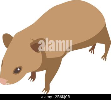 Symbol kleine Mäuse, isometrischer Stil Stock Vektor