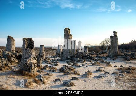 Pobiti kamani - Phänomen Felsformationen in Bulgarien in der Nähe von Warna, Osteuropa Stockfoto