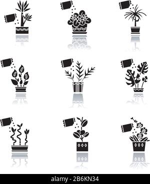 Domestizierte Pflanzen werfen Schatten schwarze Glyphe Symbole gesetzt. Hausanlagen. Dekorative Zimmerpflanzen. Afrikanisches Violett, Fikus, Monstera. Friede Lilie, pothos Stock Vektor