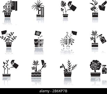 Houseplants fallen Schatten schwarze Glyphe Symbole gesetzt. Dekorative Zimmerpflanzen. Ficus, Monstera, afrikanisches Violett, glücklicher Bambus. Friede Lilie, pothos, Stube Stock Vektor