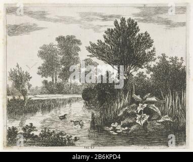 Enten in einem Graben Enten in einem Graben Objekttyp: Bild Artikelnummer: RP-P-1909-6389Katalogusreferentie: Hippert & Linnig 40-2 (3) Anmerkung 2 (4) vier Zustände in der Sammlung des Print Room Schriftzüge / Marken: Sammlermarke, Verso, gestempelt: Lugt 2228 Sammlermarke, Verso,: 1485 Hersteller gestempelt: Druckerhersteller Hermanus Jan Hendrik van Rijkelijkhuysen (Listed Property) Ort Herstellung: Utrechter Datum: 1823 - 1883 Physikalische Merkmale: Radierung und Trockenpunkt auf Chinakollé Material: Papiertechnik: Radierung / Trockennadelgröße: Plattenkante: H 129 mm × W 165 mm Betreff: Wasservögel: Entenbäume Stockfoto