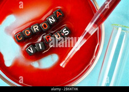 Petrischale, Reagenzglas und Pipette, Coronavirus-Ausbruch Stockfoto