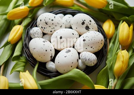 Schöne gelbe Tulpen mit gepunkteten Wachteln und Huhn Eier im Nest auf Weiß Stockfoto