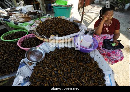 20.12.2013, Yangon, Republik der Union von Myanmar, Asien - EIN Händler sitzt neben ihrem Stall mit gerösteten Grillen auf einem Straßenmarkt. Stockfoto