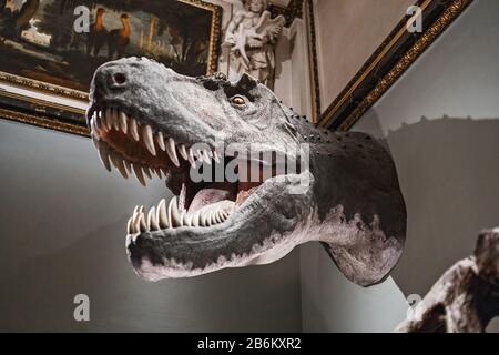 24. MÄRZ 2017, WIEN, MUSEUM FÜR NATURGESCHICHTE, ÖSTERREICH: Kopf des alten Dinosauriers tyrannosaurus an einer Wand Stockfoto