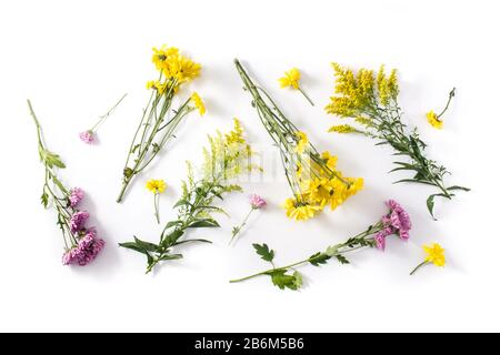 Verschiedene bunte Blumen isoliert auf weißem Hintergrund Stockfoto