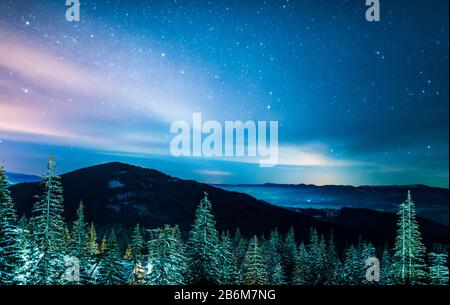 Schöne schneebedeckte Landschaft, helle schlanke grüne hohe Fichten wachsen auf einem Hügel vor dem Hintergrund eines Berges und eines dunkel leuchtenden Sternenhimmel Stockfoto