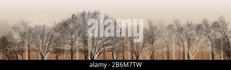 Panoramafarbe aus Holz und Wald mit mehrfarbigem Hintergrund Stockfoto