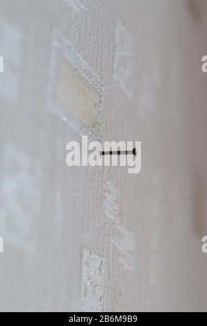 Ein einziger alter Nagel in der Wand. Ein kleiner Nagel in einer Steinwand, die mit einer hellen, strukturierten Tapete bedeckt ist. Seitenansicht. Selektiver Fokus. Gegenlicht. Stockfoto