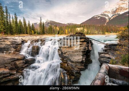 Athabasca fällt Stromschnellen fließen ist Wasserfall im Jasper Nationalpark, Alberta, Kanada Stockfoto