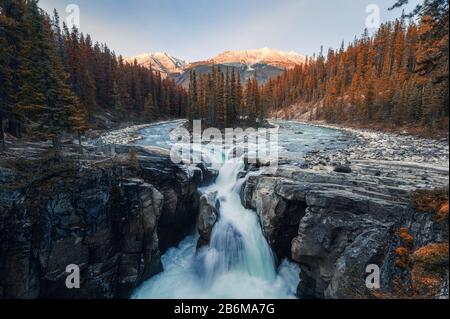 Sunwapta Falls ist ein Paar des Flusses Sunwapta im Herbstwald bei Sonnenuntergang. Icefields Parkway, Jasper National Park, Kanada Stockfoto