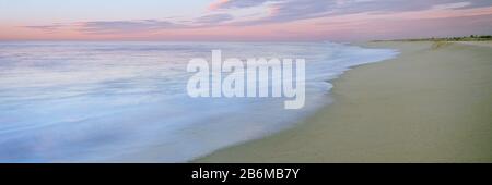 Surfen Sie am Strand, Playa La Cachora, Todos Santos, Baja California Sur, Mexiko Stockfoto