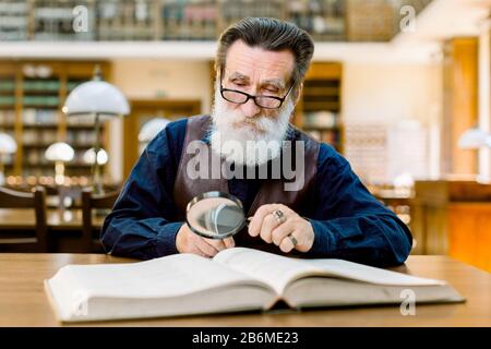 Ein leitender Mann, Schriftsteller, Bibliotheksmitarbeiter, Universitätsprofessor, Wissenschaftler, mit weißem Bart und Brillen, die in einer großen Bibliothek am Tisch sitzen und ein Studium absolvieren Stockfoto