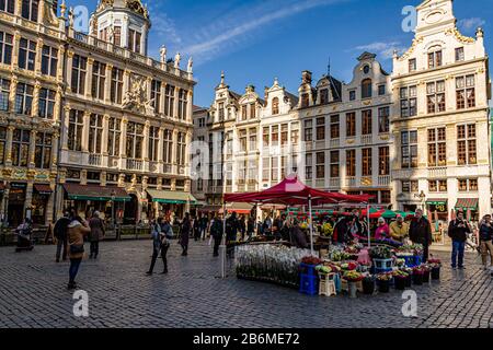 Ein Blumenstall am Grand Place, dem wichtigsten Fußgängerplatz im Stadtzentrum von Brüssel, der Hauptstadt Belgiens. März 2019. Stockfoto