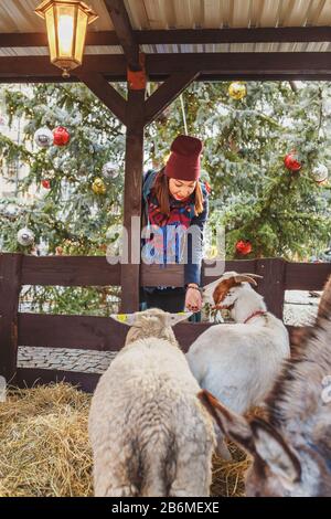 Frau füttert Tiere in einem offenen Weihnachtszoo auf einer Messe in Prag Stockfoto