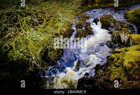 Wasserfall am Fluss Tweed bei Tweedsmuir, schottische Grenze Stockfoto