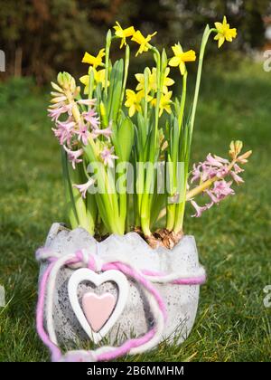 Blumenstrauß aus Frühlingsblumen im Korb Stockfoto