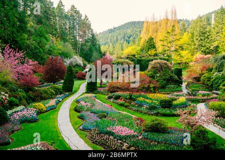 Blick auf die Pfade im Garten, Butchart Gardens, Vancouver Island, British Columbia, Kanada Stockfoto