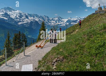 Zwei Jungs, die das Alpenhorn spielen, um die Touristen auf der Schynige Platte in der Schweiz willkommen zu heißen Stockfoto