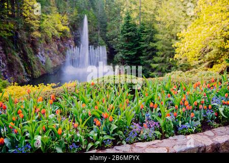 Blick auf Teich und Brunnen im Garten, Butchart Gardens, Vancouver Island, British Columbia, Kanada Stockfoto