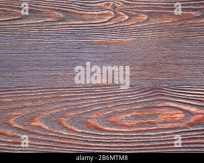 Dunkle und alte Holztextur mit helleren konzentrischen Ringen Stockfoto