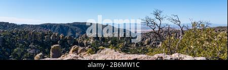 Panoramasicht vom Massai Point Trailhead im Chiricahua Gebirge und Nationaldenkmal mit Säulen oder "Totempfählen" aus Rhyolith einer Dichte Stockfoto